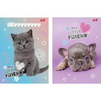 Sešit A4 s mřížkou St. Majewski, 32 listů