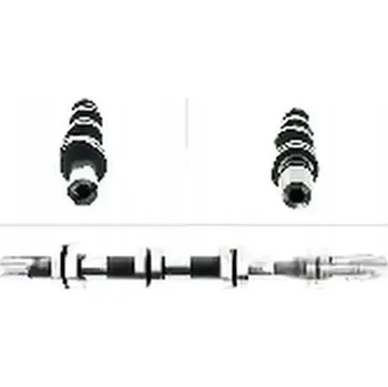 Vačková hřídel Schaeffler INA 428 0012 10 Vačkový hřídel