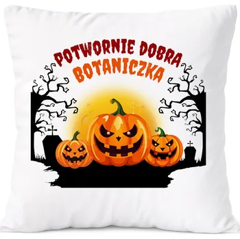 Obraz Polštář vojáka s potiskem Dárek , PoliDraw