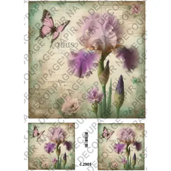 Umělecký papír Rýžový a soft papír na decoupage - Kosatec - KB2985 Materiál: Soft, Rozměr: A4