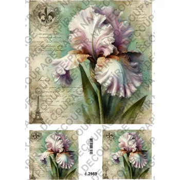 Umělecký papír Rýžový a soft papír na decoupage - Kosatec - KB2989 Materiál: Soft, Rozměr: A4