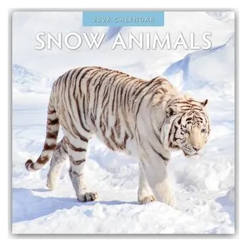 Encyklopedie Snow Animals - Arktische Tiere 2026 - 16-Monatskalender - Red, Robin