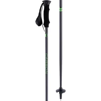 Sjezdová hůlka Sportovní sjezdové hole Arcore USP C1 110 Tmavě šedá, Zelená