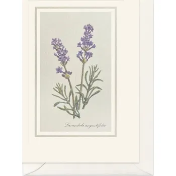 Party dekorace Karta Levandule