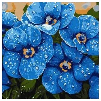 Set školních potřeb Malowanie po numerach - Fiołki w rosie 40x40cm