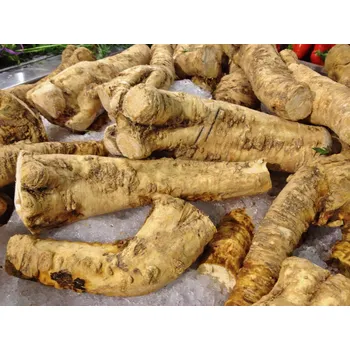 Křen selský, Karl der Grosse - 015