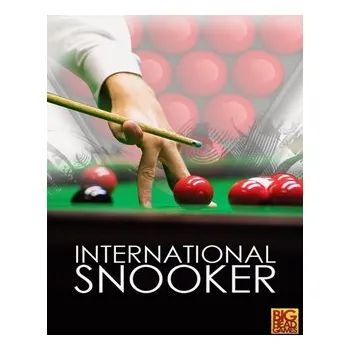 Počítačová hra ESD International Snooker