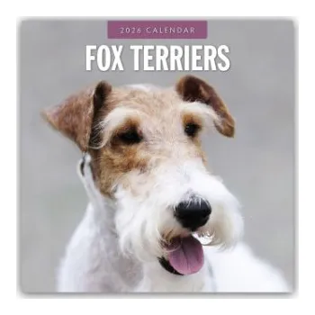 Diář Fox Terriers - Foxterrier 2026 - 16-Monatskalender (EN)