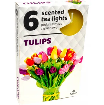 Svíčka Parafínové čajové svíčky Tulips Admit 6 ks