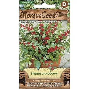 Semeno Semínka MoravoSeed Špenát jahodový 01970