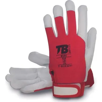 Pracovní rukavice TOMAS BODERO | TB 81RV rukavice - - / 10 / XL / vícebarevné