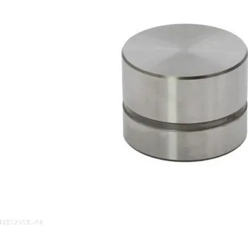 Ventil motoru Zdvihátko ventilu AUTOMEGA 130017510