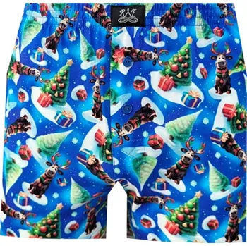 Trenýrky Pánské Trenkoslipy FOLTÝN PTS 420 Velikost: 4XL