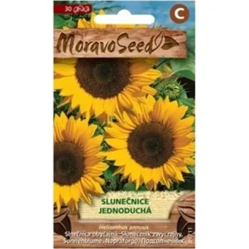 Semeno Semínka MoravoSeed Slunečnice roční jednoduchá, žlutá 01711