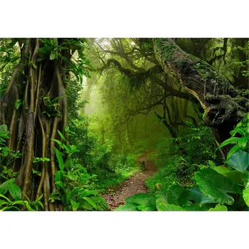 Fototapeta Fototapeta TROPICKÝ LES Džungle Rostliny 368x254