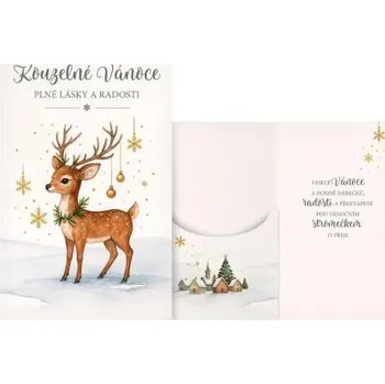 MFP přání vánoční s klopou na peníze V24-501 H PRANI_H_673