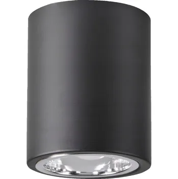 Stropní svítidlo přisazené Goldlux 60 W E27 9,8 cm černé