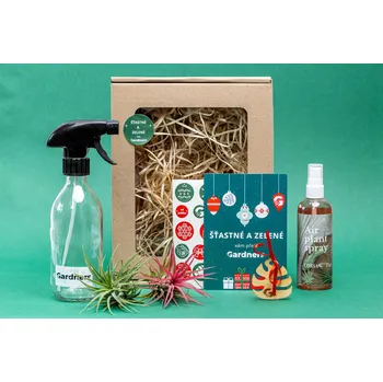 Bytová dekorace Gardners Vánoční dárková sada - Set tillandsií s hnojivem a rozprašovačem Tillandsie, kykatka