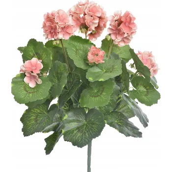umělá květina Umělá kytice Pan Kwiatek pelargonie broskvová 40 cm, 9 stonků
