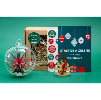 Gardners Vánoční dárková sada - Aerárium s Tillandsií Ionantha red Tillandsie, kykatka