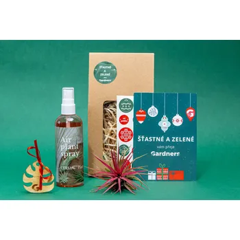 Bytová dekorace Gardners Vánoční dárková sada - Set tillandsie Ionantha Red s hnojivem Tillandsie, kykatka