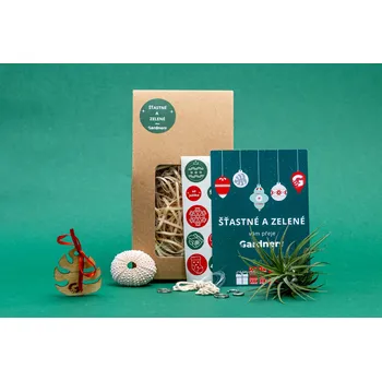 Gardners Vánoční dárková sada - Medusa "Vyrob si sám" Rose s Tillandsií ionantha Tillandsie, kykatka