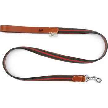 Vodítko pro psa Vodítko Buddys Baseball zelené