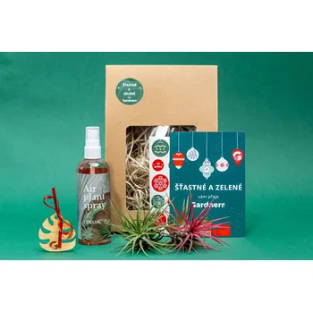 Gardners Vánoční dárková sada - Set tillandsií s hnojivem Tillandsie, kykatka