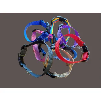 Obojek pro psa Jednobarevné rozlišovací obojky s přezkou Velikost: M, Vzor: 4