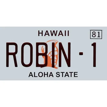 Plechová cedule Ceduľa značka Hawaii Aloha State 30x15cm