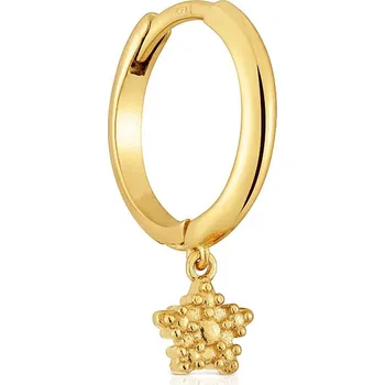 Náušnice Pozlacené stříbrné náušnice Tous 1004091900 zlatá GLD, vel. ONE SIZE