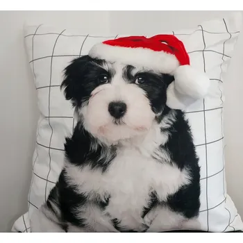 Povlak na dekorativní polštářek Vánoční povlak na polštář 40x40 Bary pes v čepici Mikuláše ozdobný na polštář