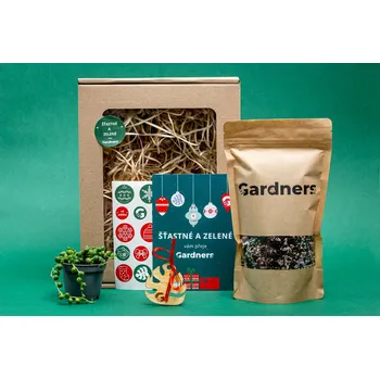 Vánoční dekorace Gardners Vánoční dárková sada - Set Senecio rowleyanus a substrát Starček, Starček převislý