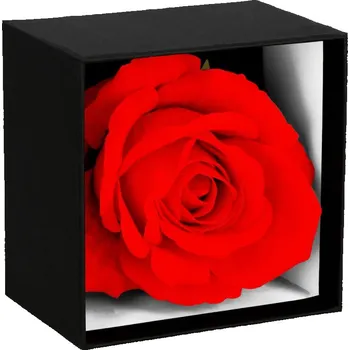 umělá květina Springos Věčná růže v dárkovém balení červená