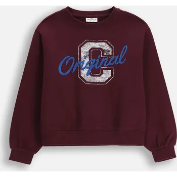 Chlapecká mikina Dětská mikina bavlna Coccodrillo , velikost 146