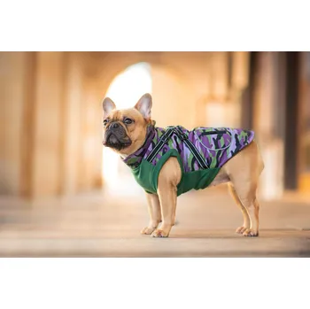 Obleček pro psa Vsepropejska Pardál zimní bunda pro psa s postrojem Zelená 26 cm