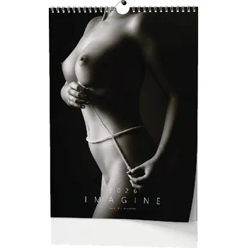 IMAGINE DÍVKY A3, nástěnný kalendář, 2026