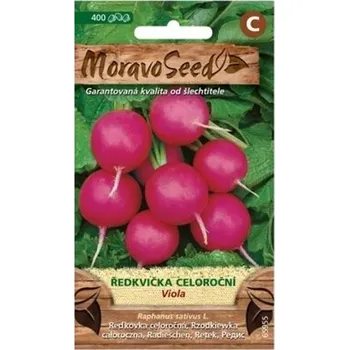 Semeno Semínka MoravoSeed Ředkvička VIOLA, kulatá fialová 65955
