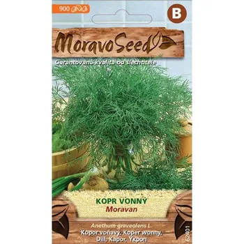 Semeno Semínka MoravoSeed Kopr vonný MORAVAN 62401
