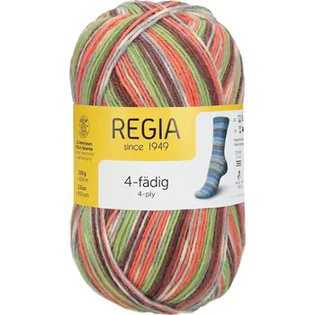 Příze Regia 4-Ply Color 1319 (Ponožková příze Regia 1319)