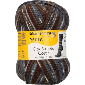 Příze Regia 4-Ply Color 2894 (Ponožková příze Regia 2894)