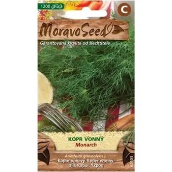 Semeno Semínka MoravoSeed Kopr vonný MONARCH 62403,