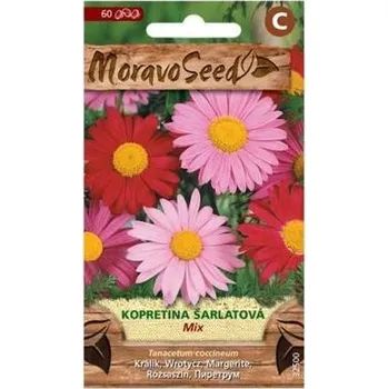 Semeno Semínka MoravoSeed Kopretina šarlatová, směs 32500