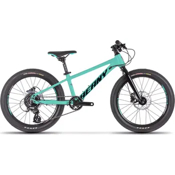 Dětské kolo Beany Blaster XC 20 mint 20