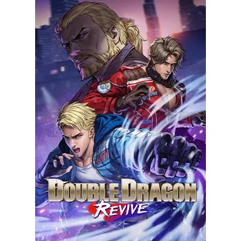 Počítačová hra Double Dragon Revive - PC