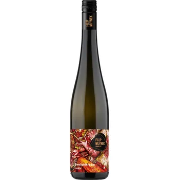 Víno Zweigeltrebe, Filip Mlýnek (2024)