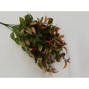umělá květina Umělá dekorace - Trs zelenočervených listů - 35cm