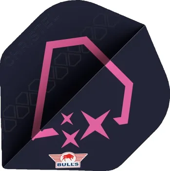 Příslušenství pro šipky Bull's NL Letky Player 100 - Christel Timmermans - BU-51031