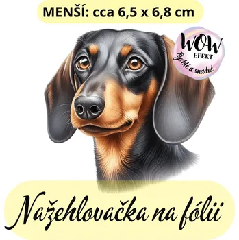 Nažehlovačky na fólii Nažehlovačka na fólii, PES - JEZEVČÍK, 1 kus Zvolte VELIKOST motivu ZDE:: Menší