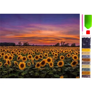 Diamantové malování Diamantová výšivka 5D diamantové malování Kreativní sada Mozaika vzor doplňky